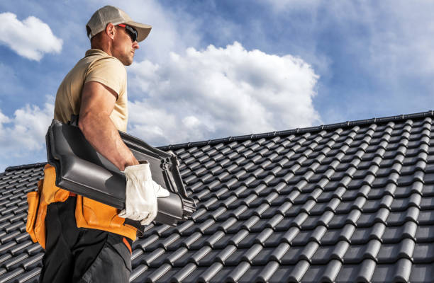 Best Roof Waterproofing  in Virginia, MN